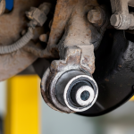 Как правильно пить настойку прополиса: полное руководство для здоровья